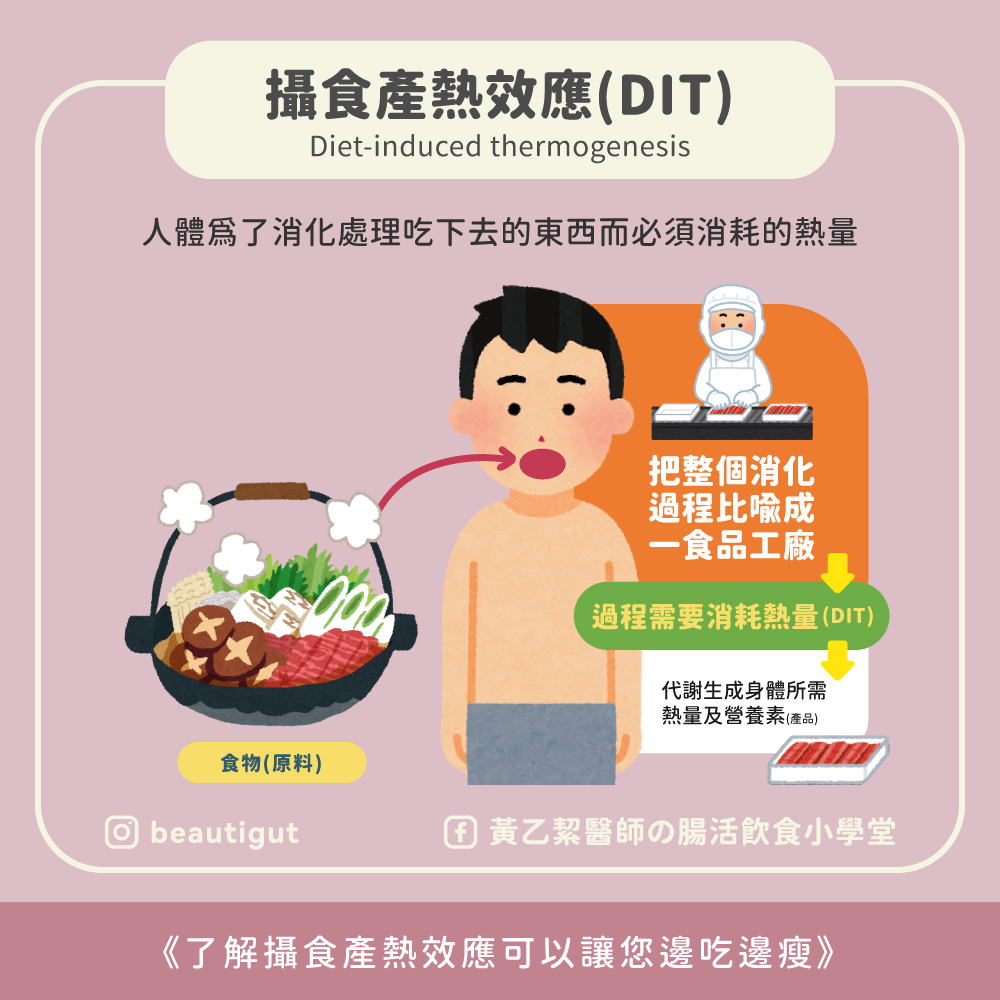 了解攝食產熱效應（diet-induced thermogenesis, DIT）可以讓你邊吃邊瘦。