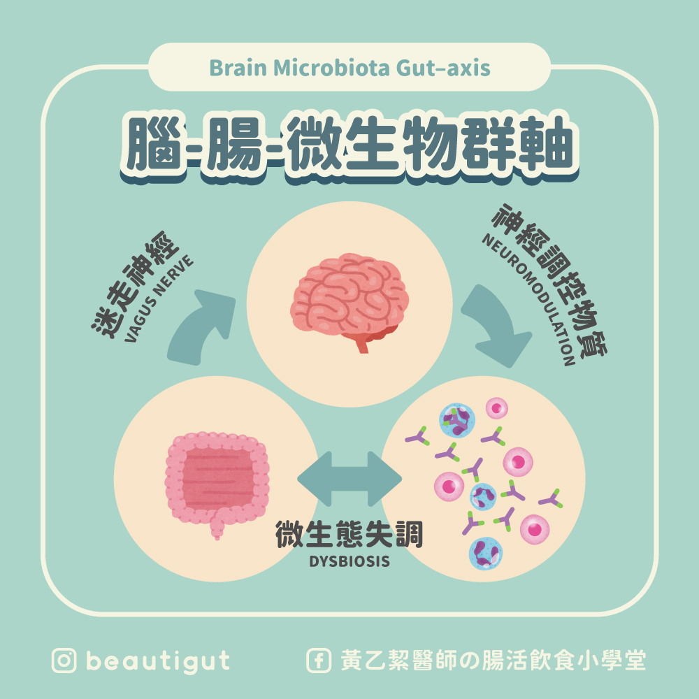 腦-腸-微生物群（Brain Microbiota Gut–axis）軸